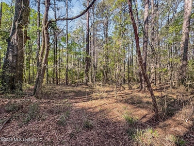 Brookhaven MS Home on 19 Acres Near Lake Lincoln - image 22