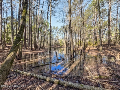 Brookhaven MS Home on 19 Acres Near Lake Lincoln - image 24