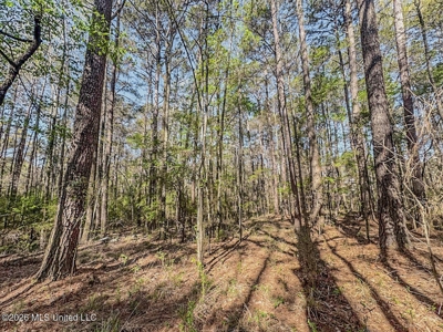 Brookhaven MS Home on 19 Acres Near Lake Lincoln - image 23