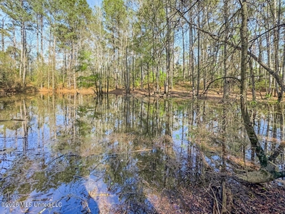 Brookhaven MS Home on 19 Acres Near Lake Lincoln - image 26