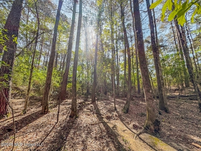 Brookhaven MS Home on 19 Acres Near Lake Lincoln - image 27