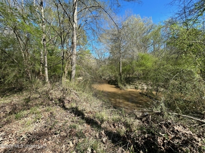 123± Acres Centreville MS on Chance Rd Amite County - image 44