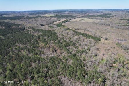 123± Acres Centreville MS on Chance Rd Amite County - image 9
