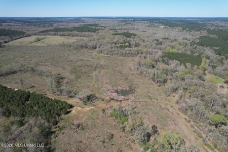 123± Acres Centreville MS on Chance Rd Amite County - image 18
