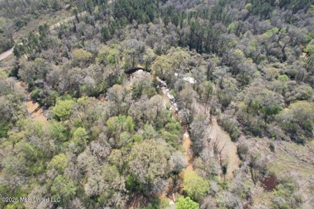 123± Acres Centreville MS on Chance Rd Amite County - image 21