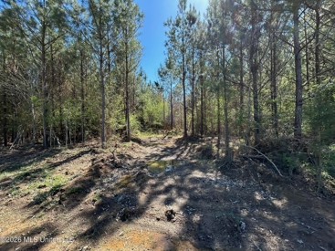 Listing 91