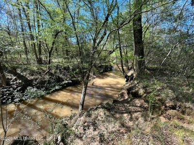 123± Acres Centreville MS on Chance Rd Amite County - image 38