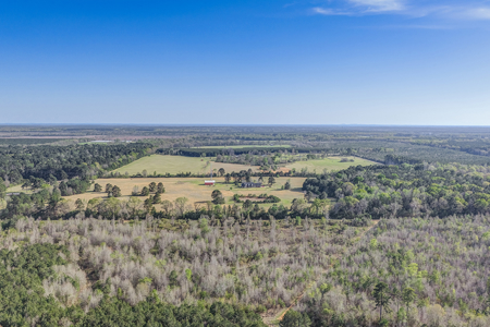 68.78 Acres Near Texarkana – Ponds, Barn & Country Home - image 6