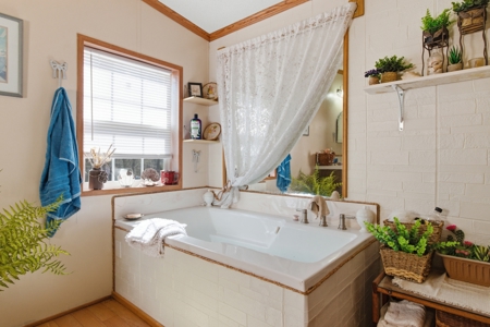 Ozark County Home on 7.5 Acres Near North Fork River - image 19