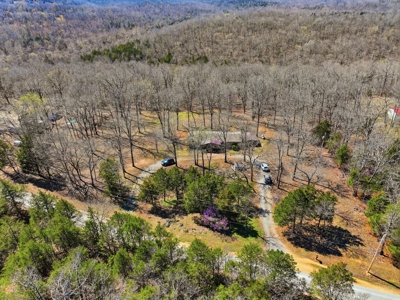 Ozark County Home on 7.5 Acres Near North Fork River - image 2