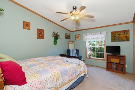 Ozark County Home on 7.5 Acres Near North Fork River - image 15