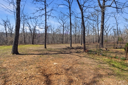 Ozark County Home on 7.5 Acres Near North Fork River - image 29