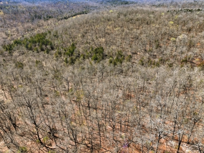 Ozark County Home on 7.5 Acres Near North Fork River - image 25