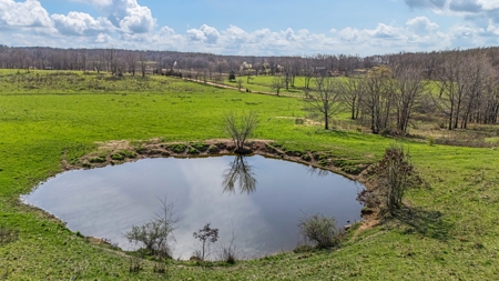 Exceptional opportunity to own a premier 247-acre working farm - image 16