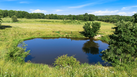 Exceptional opportunity to own a premier 247-acre working farm - image 34