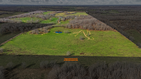 Exceptional opportunity to own a premier 247-acre working farm - image 9