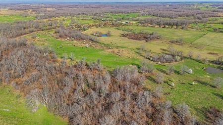 Exceptional opportunity to own a premier 247-acre working farm - image 2