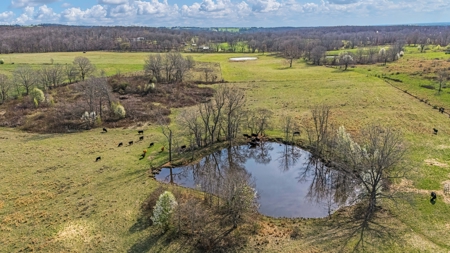 Exceptional opportunity to own a premier 247-acre working farm - image 17