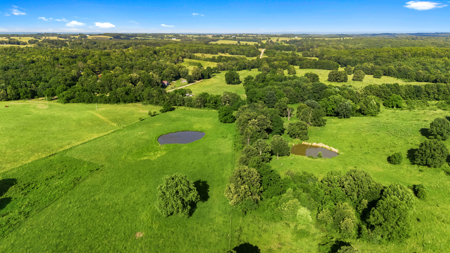 Exceptional opportunity to own a premier 247-acre working farm - image 37