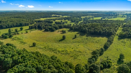 Exceptional opportunity to own a premier 247-acre working farm - image 28
