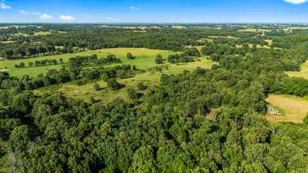 Exceptional opportunity to own a premier 247-acre working farm - image 31