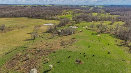 Exceptional opportunity to own a premier 247-acre working farm - image 38