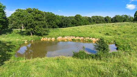 Exceptional opportunity to own a premier 247-acre working farm - image 36
