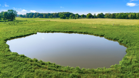 Exceptional opportunity to own a premier 247-acre working farm - image 35