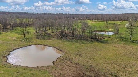 Exceptional opportunity to own a premier 247-acre working farm - image 36