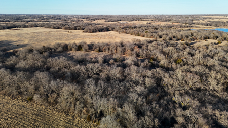 Blanchard Dibble McClain County Oklahoma Land For Sale Hunting - image 19