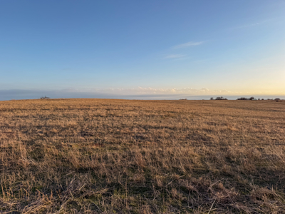 Blanchard Dibble McClain County Oklahoma Land For Sale Hunting - image 21