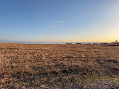 Blanchard Dibble McClain County Oklahoma Land For Sale Hunting - image 22