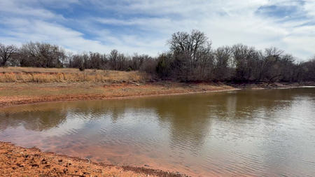 Blanchard Dibble McClain County Oklahoma Land For Sale Hunting - image 7