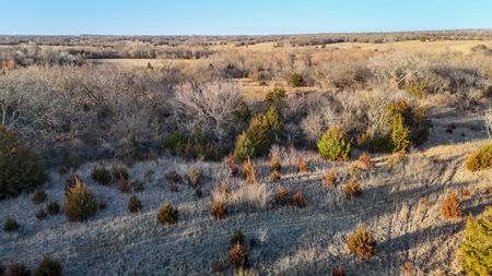 Blanchard Dibble McClain County Oklahoma Land For Sale Hunting - image 15
