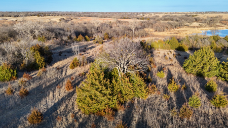 Blanchard Dibble McClain County Oklahoma Land For Sale Hunting - image 16