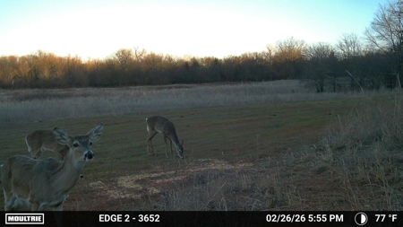 Blanchard Dibble McClain County Oklahoma Land For Sale Hunting - image 23