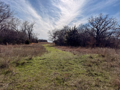 Blanchard Dibble McClain County Oklahoma Land For Sale Hunting - image 11