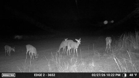 Blanchard Dibble McClain County Oklahoma Land For Sale Hunting - image 26