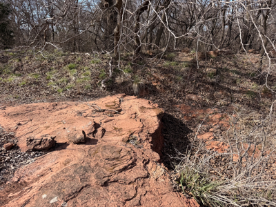 Blanchard Dibble McClain County Oklahoma Land For Sale Hunting - image 9