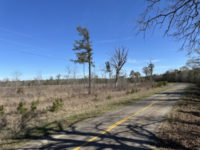 Land For Sale in Morehouse Parish on Bayou Bartholomew! - image 2