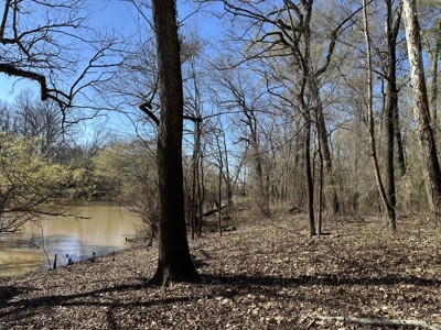 Land For Sale in Morehouse Parish on Bayou Bartholomew! - image 3