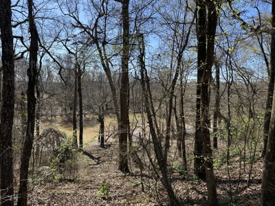 Land For Sale in Morehouse Parish on Bayou Bartholomew! - image 1