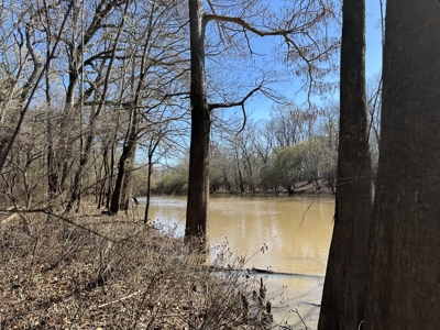 Land For Sale in Morehouse Parish on Bayou Bartholomew! - image 5