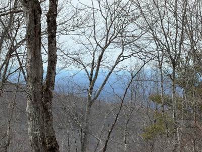 Expansive Mountain-View Acreage with Timber Value & Road Frontage - image 21