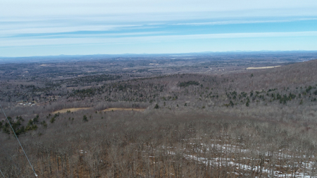 Expansive Mountain-View Acreage with Timber Value & Road Frontage - image 2