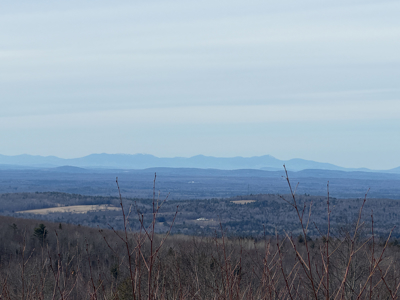 Expansive Mountain-View Acreage with Timber Value & Road Frontage - image 25