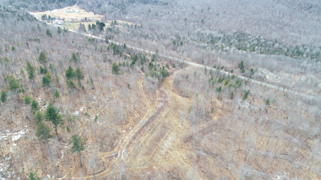 Expansive Mountain-View Acreage with Timber Value & Road Frontage - image 10