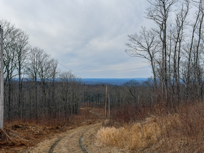 Expansive Mountain-View Acreage with Timber Value & Road Frontage - image 17