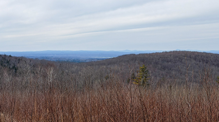 Expansive Mountain-View Acreage with Timber Value & Road Frontage - image 24