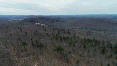 Expansive Mountain-View Acreage with Timber Value & Road Frontage - image 9